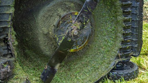 4 dangerous mistakes people make when using their lawn mowers