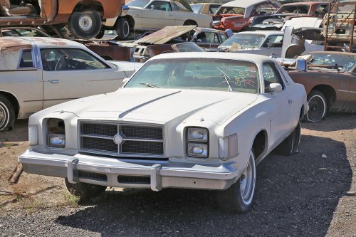 Unicorns: the rarest cars we’ve ever spotted in American junkyards
