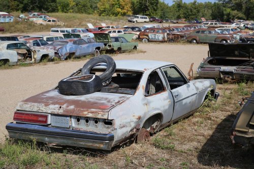 The junkyard finds from French Lake Auto Parts, Annandale, Minnesota
