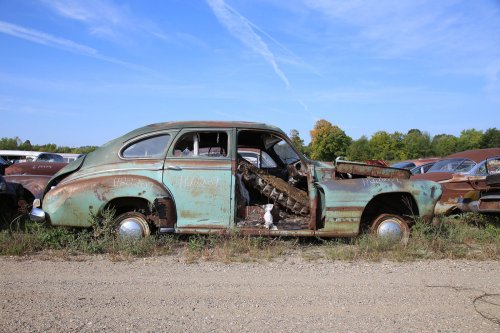 The junkyard finds from French Lake Auto Parts, Annandale, Minnesota