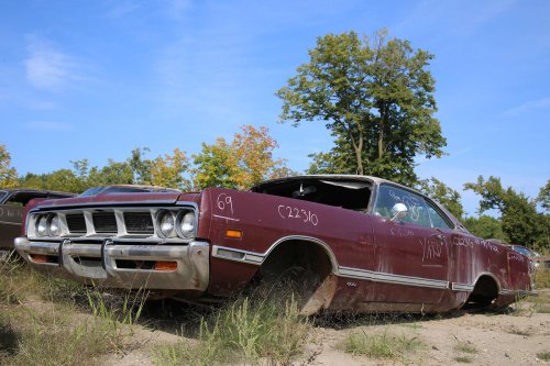 The junkyard finds from French Lake Auto Parts, Annandale, Minnesota