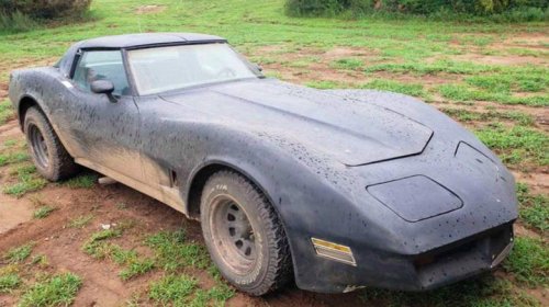 These custom diesel Corvettes show gasoline isn't mandatory for fun