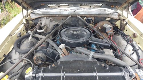 Oldsmobile, Oldsmobile Vista Cruiser: The muscle-era wagon that became a legend