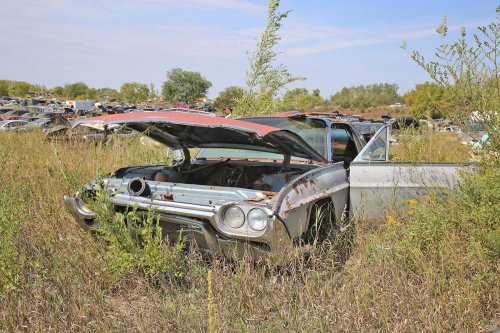 More junkyard discoveries of Windy Hill Auto Parts, New London, Minnesota