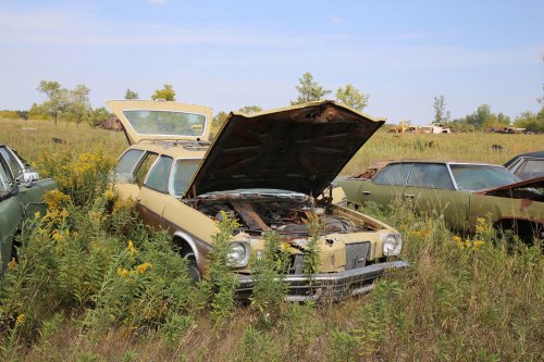 More junkyard discoveries of Windy Hill Auto Parts, New London, Minnesota