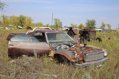 More junkyard discoveries of Windy Hill Auto Parts, New London, Minnesota