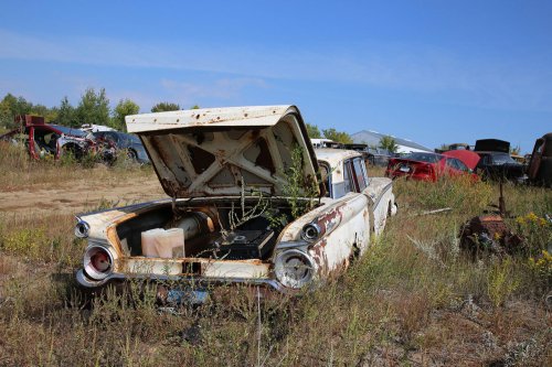 More junkyard discoveries of Windy Hill Auto Parts, New London, Minnesota