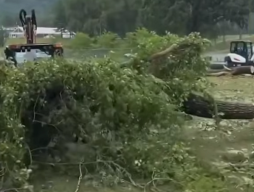 NASCAR track forced to deal with power loss, downed trees before race
