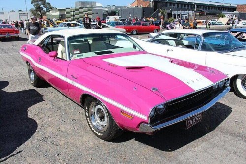 Muscle cars that turned pocket change into millions