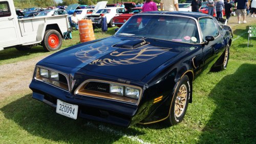 9 Firebirds enthusiasts should never overlook