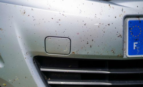 El error más repetido al lavar el coche después de viajar que puede arruinar la carrocería