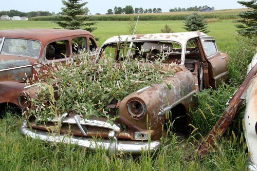 Junkyard gems from Oakleaf Old Cars, South Dakota