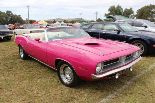 Classic muscle cars skyrocketing in value this spring