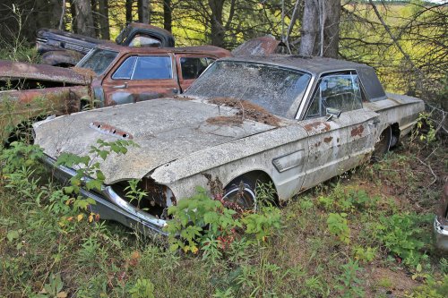 Hallazgos en el desguace Cooley's Statewide Scrap &amp; Salvage en Eau Claire, Wisconsin