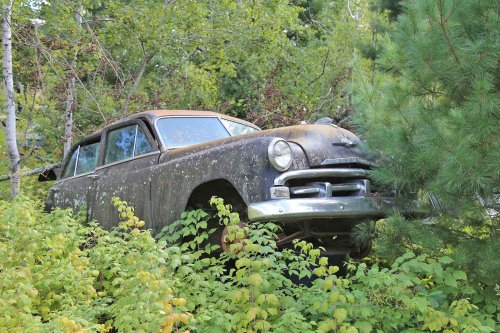 Hallazgos en el desguace Cooley's Statewide Scrap &amp; Salvage en Eau Claire, Wisconsin