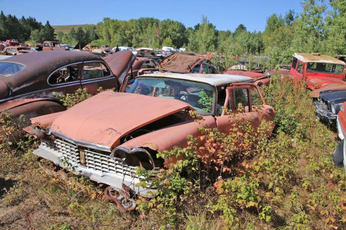 Hallazgos en el desguace Cooley's Statewide Scrap &amp; Salvage en Eau Claire, Wisconsin
