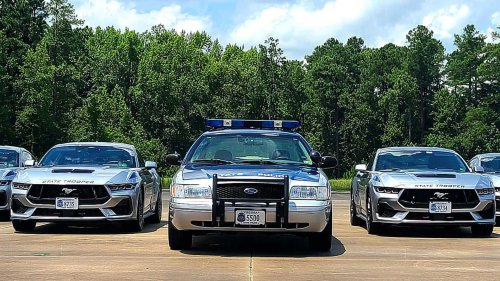 Government surplus vehicle auctions: Uncovering hidden car deals