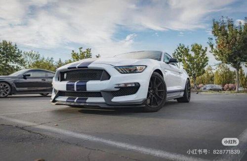 Ford, Ford Mustang, 2019 Ford Mustang GT350 for sale