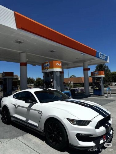 2019 Ford Mustang GT350