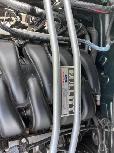 2008 Ford Mustang for sale