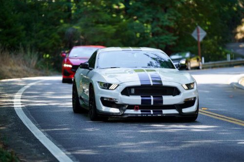 2019 Ford Mustang GT350 for sale