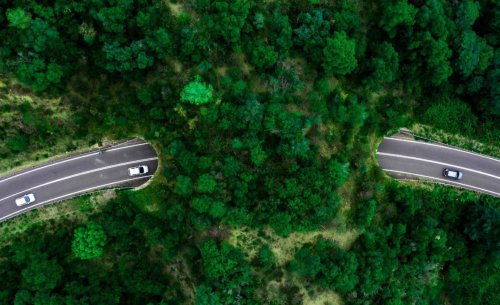 El nuevo megapuente de la M-607 que no es para coches ni personas: Madrid estrena su primera autopista de selva