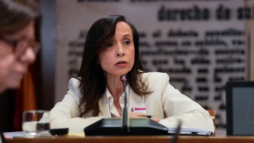 Un año después del apagón y la obsesión antinuclear