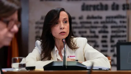 Un año después del apagón y la obsesión antinuclear