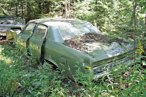 The junkyard gems of G&amp;G Auto Salvage, Bruce, Wisconsin