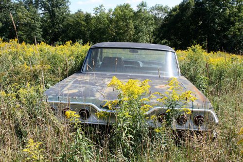 The junkyard gems of G&amp;G Auto Salvage, Bruce, Wisconsin