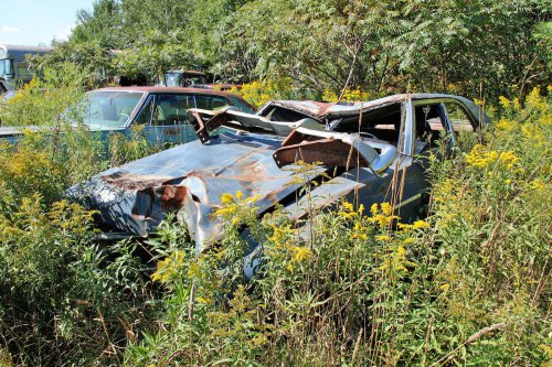 The junkyard gems of G&amp;G Auto Salvage, Bruce, Wisconsin