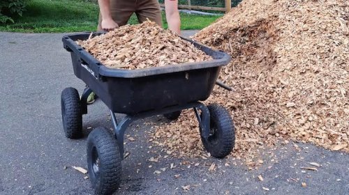 This is the best wheelbarrow alternative for homeowners (according to reviews)