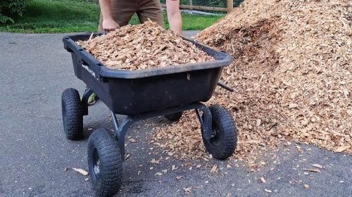 This is the best wheelbarrow alternative for homeowners (according to reviews)