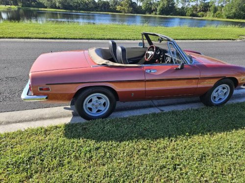 1981 Alfa Romeo Spider