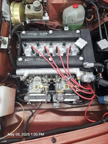 1981 Alfa Romeo Spider