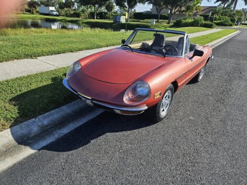 1981 Alfa Romeo Spider for sale