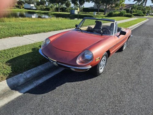 1981 Alfa Romeo Spider