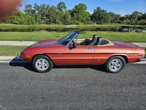 1981 Alfa Romeo Spider for sale