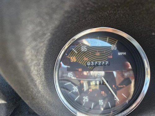 1981 Alfa Romeo Spider for sale