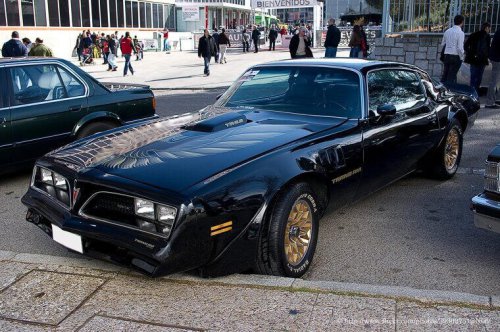 The cars every region of America was obsessed with in the '70s and '80s