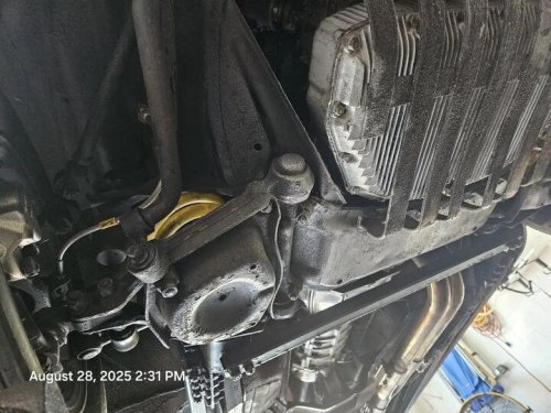 1981 Alfa Romeo Spider for sale