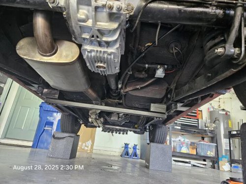 1981 Alfa Romeo Spider for sale