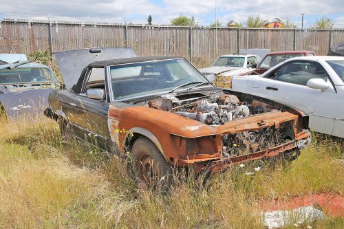 The most interesting European cars we’ve ever spotted in American junkyards