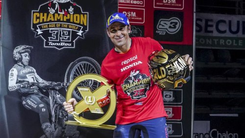 Bou luce su oro con la plata en juego