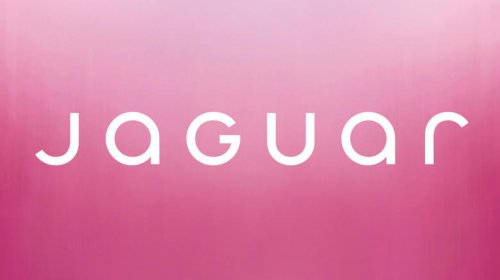 Jaguar, Jaguar's cringeworthy rebrand forgets that the logo was never the problem