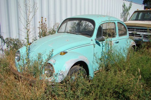 The bad habits that might kill your car