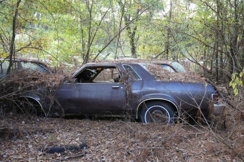 Las joyas del desguace de United Auto Sales, Arkadelphia, Arkansas