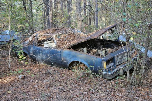 Las joyas del desguace de United Auto Sales, Arkadelphia, Arkansas