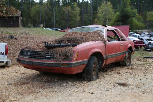 Las joyas del desguace de United Auto Sales, Arkadelphia, Arkansas