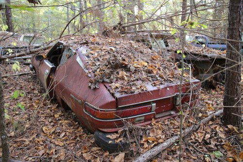 Las joyas del desguace de United Auto Sales, Arkadelphia, Arkansas